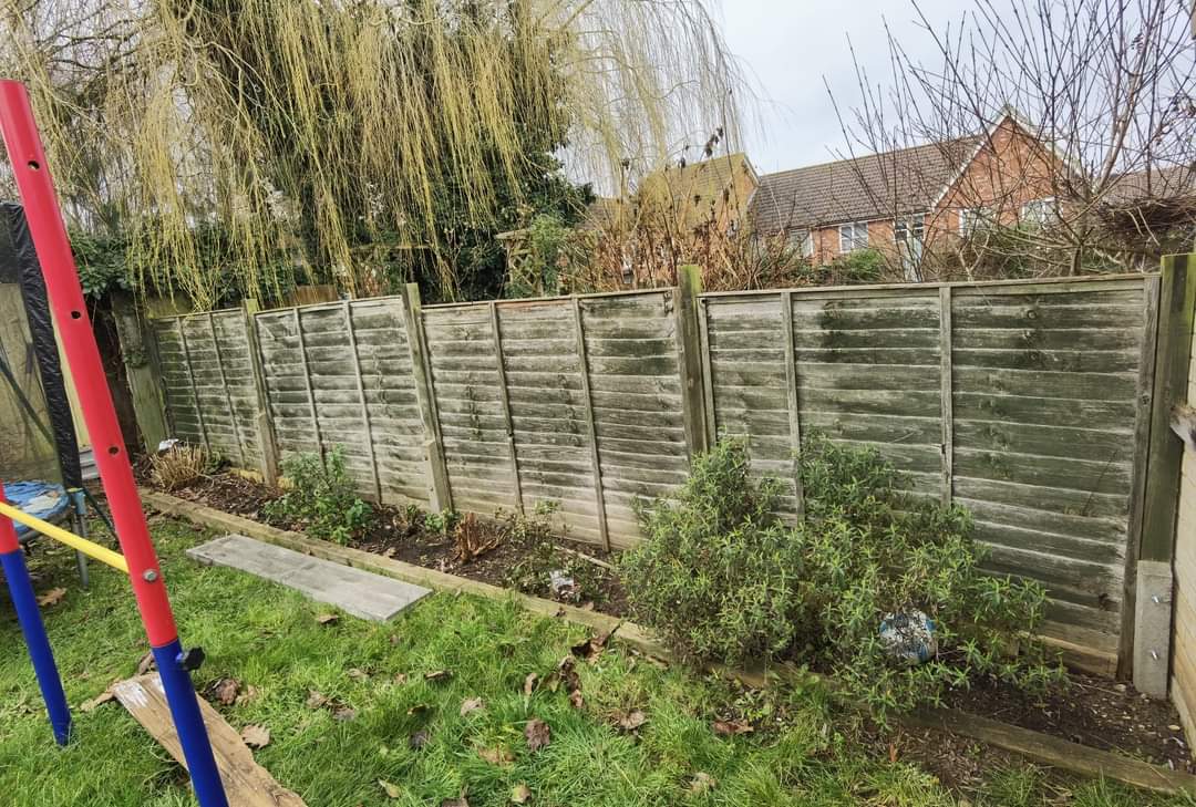 Fencing & gates Suffolk — Wooden fence panels are the dominant feature in this garden image